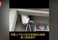 六安：蜂患擾民，民警變身“清蜂俠”
