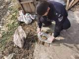 蚌埠一农妇菜园翻地挖出“铁疙瘩” 原是一枚炮弹