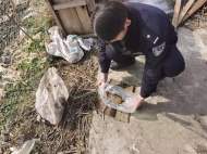 蚌埠一農婦菜園翻地挖出“鐵疙瘩” 原是一枚炮彈