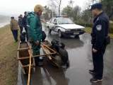 男子利用鱼鹰捕鱼 民警农委巡查当场抓获