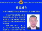 安徽警方悬赏50万！缉捕“梅子”