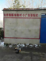 去除农村小广告 提升双桥新形象
