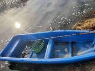 非法捕魚三百條     承諾放流九萬尾
