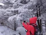 黄山风景区迎来新年首场降雪  8日最低气温将达零下18度