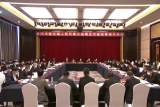 杨光荣参加阜南县代表团审议 