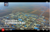 春天的故事丨我是党员我先上 