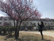 正月初一天氣晴好  潛山市民戶外賞花(組圖)