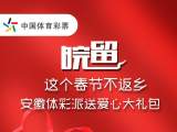安徽体彩全力支持 为 “皖”留人送温暖 