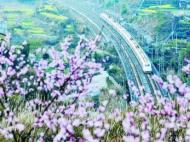 鐵路旅客阻礙車門關閉、強占他人座位！安徽擬將這些行為納入信用系統 