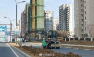 合肥長豐縣泉河路等五條道路綠化工程開始建設