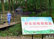 合肥市林園局發布《野生動物進入社區處置應對措施》