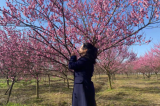 春風(fēng)從官亭拂過(guò)  把“梅”好留在林海