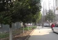 淮南一學(xué)校家屬樓著火 消防及時撲滅