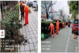 迎新春，護兩會！六安市城管局環衛處“大掃除”扮靚皋城