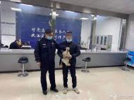 110嗎？我撿到一只“天鵝”！