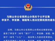 馬鞍山警方公開征集李亞平、李亞靜、謝超等人違法犯罪線索