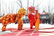 花鼓燈舞獅子   淮南鳳臺村民自編自演民俗迎新年（組圖）