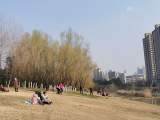 21日合肥最高气温或达25℃
