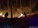 铜陵树场突发大火  警民联手战火魔