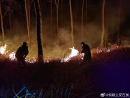 銅陵樹場突發大火  警民聯手戰火魔