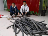 两兄弟白天见财起意晚上盗窃电缆 切割时被群众发现并报警