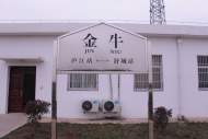 新春走基层| 安徽最“牛”车站金牛站迎来金牛年