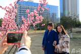 合肥天气晴好 市民踏春赏景（多图）