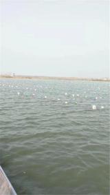 万亩湖里湿地起，千亩箱中珍珠养 ——阜阳市颍东区东湖省级湿地公园侧记