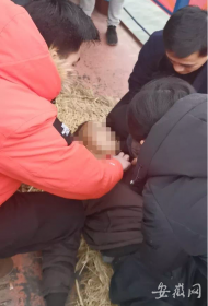 池州：七旬老人輪渡上突發病  同船醫生及時出手施救
