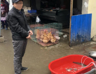 專在菜市場(chǎng)偷老人的錢  蕪湖警方抓獲一慣偷