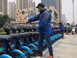 合肥滨湖万辆单车“消杀”迎新年