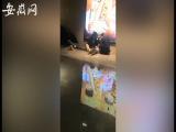 东阳一电影院63人头晕呕吐 其他场次观影人曾感胸闷