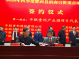 肥西县花岗镇：打好“三张牌”，推动“十三五”规划圆满收官