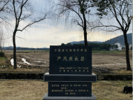 新春走基层｜参观"严凤英故居"  感受黄梅戏艺术魅力