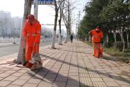 大部分市民就地過年 合肥包河城管春節期間將加強值守 