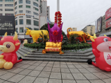 芜湖：处处有年味儿 主题花坛迎新春