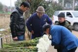宜秀区罗岭镇：政府买单倡导移风易俗 鲜花祭祀做好护林防火 