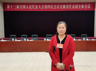 全國人大代表李小莉：建五級招工網絡應對民企用工難