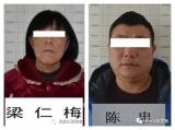 凤台公安公开征集刘长珍、陈忠等人违法犯罪线索
