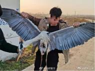 為滿足口腹之欲  肥東三男子非法狩獵野生保護(hù)動(dòng)物