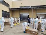 亚父街道开展对冷冻食品核酸检测采样