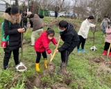 植树节将至 合肥悦书房组织户外亲子植树活动