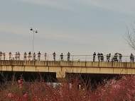 網友反映合肥匡河沿岸風景區垃圾成堆 官方回應