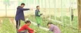 “菜篮子”保供 | 全国蔬菜在田面积6800多万亩高于去年同期水平 蔬菜供应总体充足