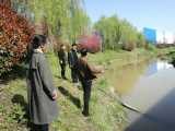 肥西縣交通局開展河長“春風行動”走河巡查活動