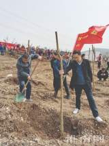 淮南市第六屆“一人一樹綠化地球”公益活動啟幕