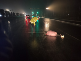 芜湖：六旬老太雨夜摔倒路中央  夜巡交警助其回家