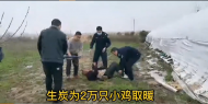 差點喪命！滁州兩老人雞棚里生炭取暖煤氣中毒