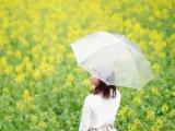 预计未来一周安徽多阴雨天  气温逐渐回升