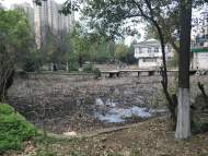 合肥琥珀山莊景觀湖漂死魚后續:抽干湖水進行更換 正進行清理消殺毒工作